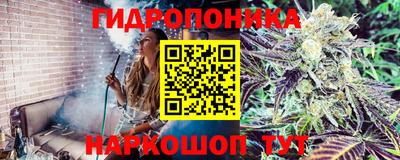 MESCALINE Абакан