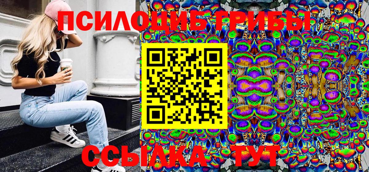 Галлюциногенные грибы Psilocybine cubensis Алушта
